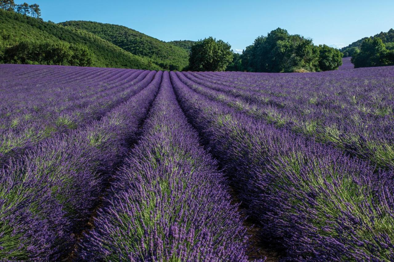 Club Vacances Bleues Domaine De Chateau Laval Gréoux-les-Bains المظهر الخارجي الصورة